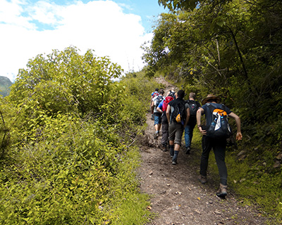 Group of trekkers in the middle of Andean forests heading to Choquequirao