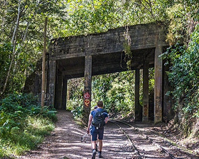 Group are walking in the middle of the rainforest