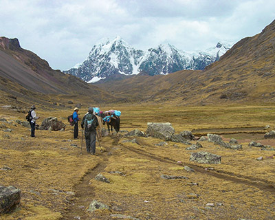 Muleteers and mules with Ausangate background image 