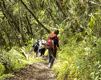 Group is arriving in Llaqtapata on the fourth day of trek